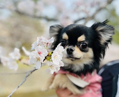 4月 イメージ画像